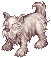4_dog01