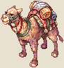 4_dst_camel